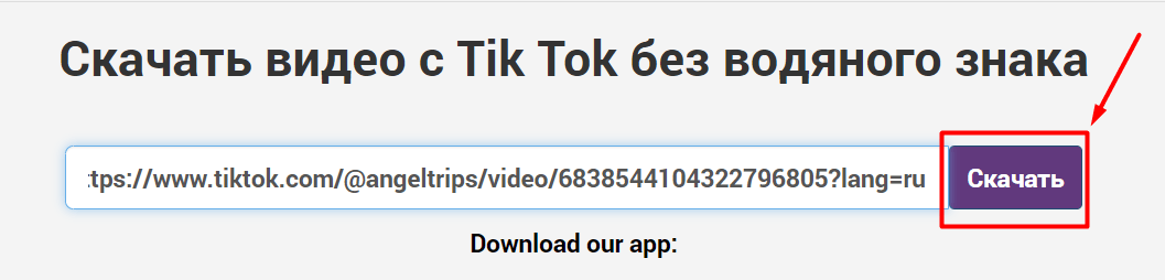 Как скачать видео с TikTok на телефон или компьютер бесплатно