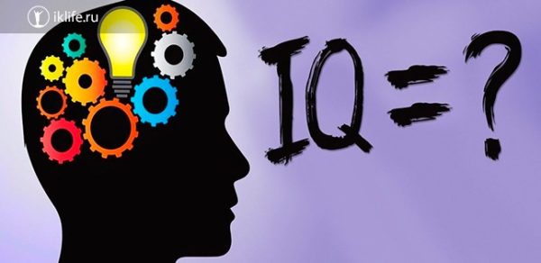 Что такое IQ у человека