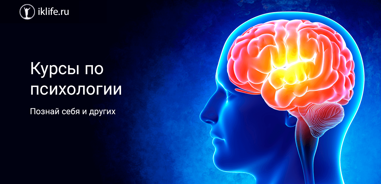 10 лучших курсов по психологии: рейтинг бесплатных и платных программ