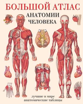 Т. Н. Карпенко, А. Н. Серов “Большой атлас анатомии человека”