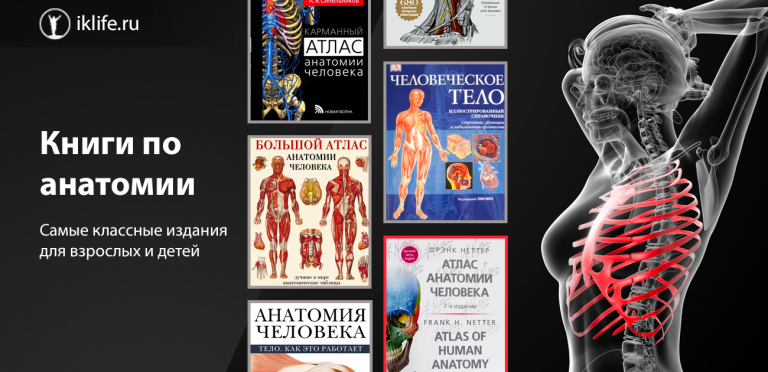 Книги по анатомии для детей и взрослых