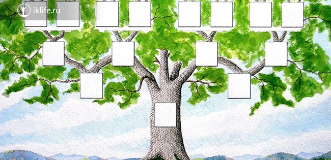 Как составить генеалогическое древо